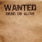 Wanted32