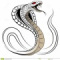 snake636631